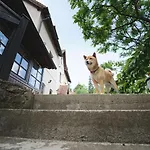 Onyx ゲストハウス 3*