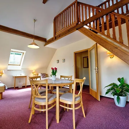 奥尼克斯酒店 招待所 Český Krumlov