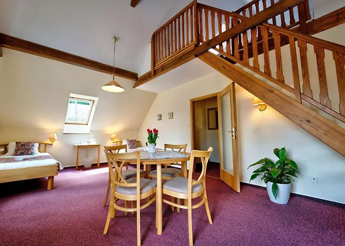 奥尼克斯酒店 招待所 Český Krumlov