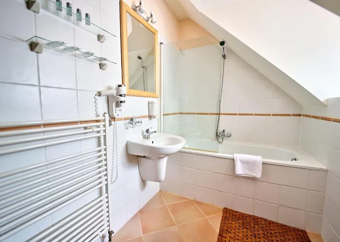 펜지온 오닉스 3* 체스키크룸로프