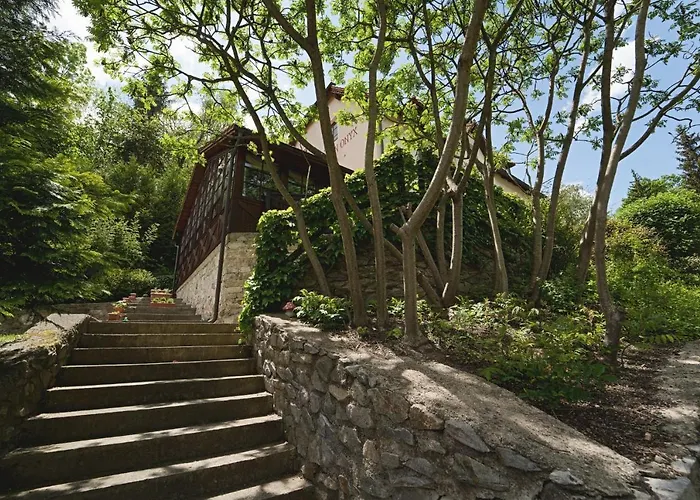 招待所 奥尼克斯酒店 Český Krumlov