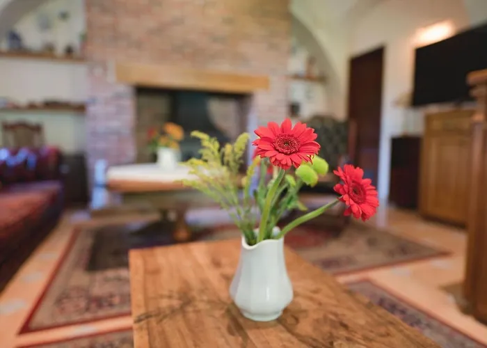 펜지온 오닉스 3*