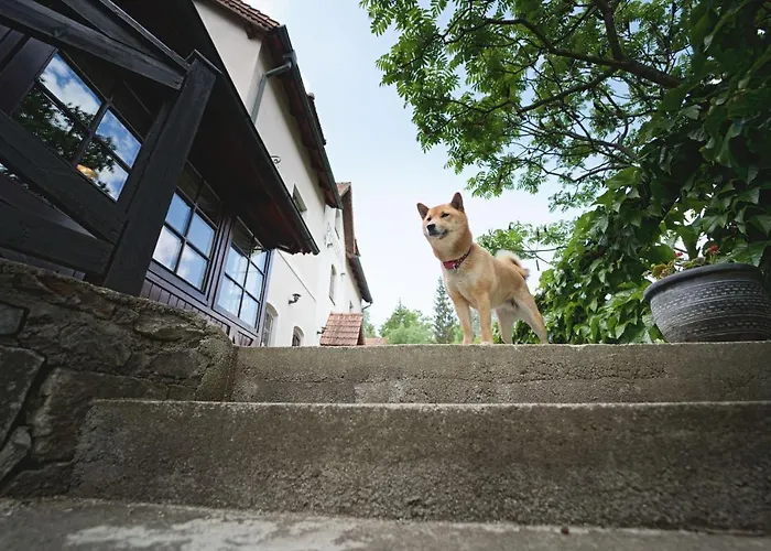 펜지온 오닉스 게스트하우스 3*